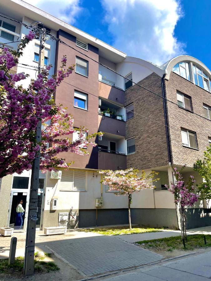 Apartament Yellow Ns Nowy Sad Zewnętrze zdjęcie